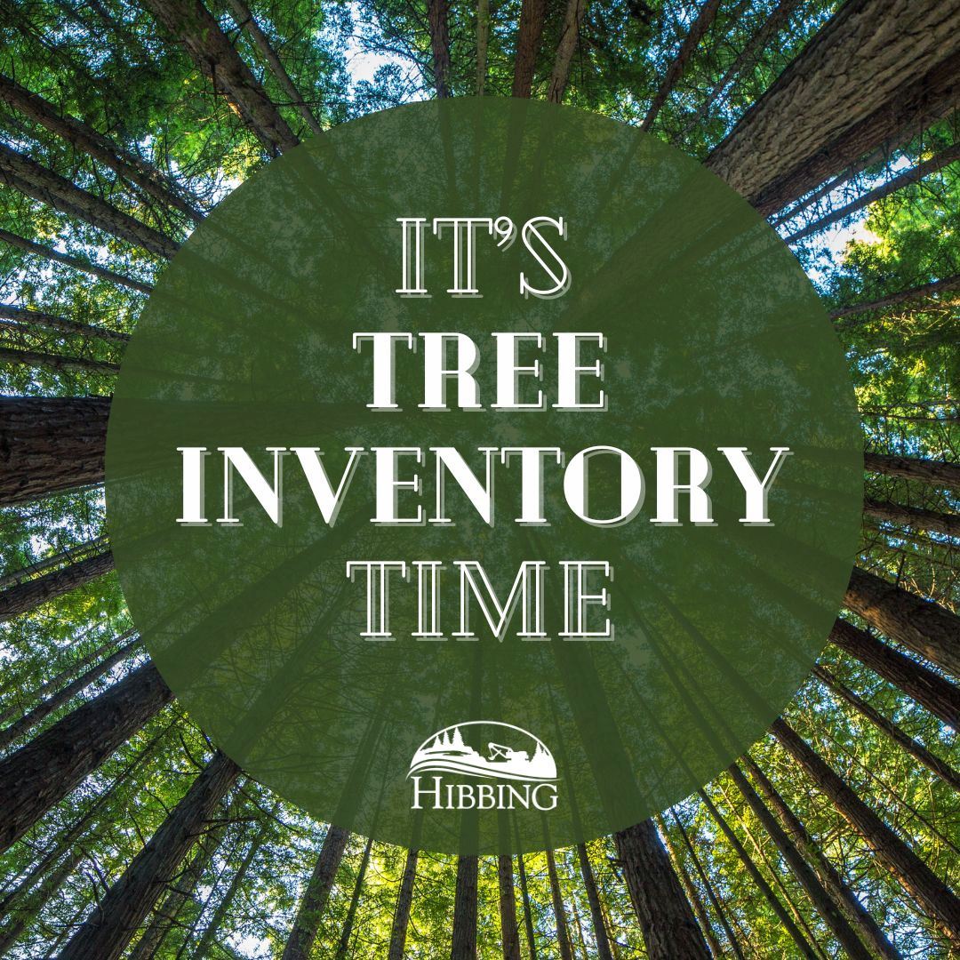 Tree Inventory Announcement