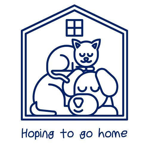 Strays at Shelter Artwork